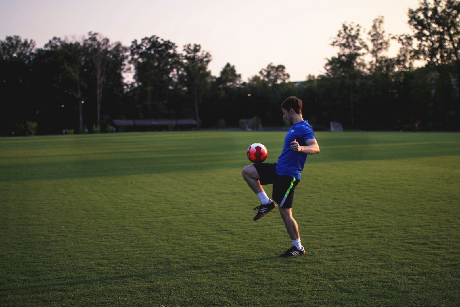 非凡体育 · 体育栏目服务配图（示意）